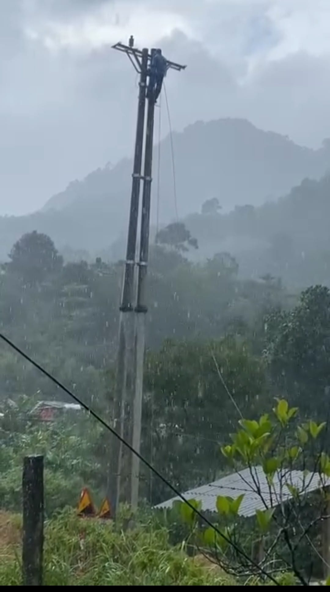 381020157_2642371715910904_1209158818995547845_n