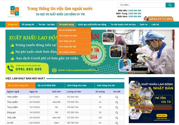 Một số website đăng thông tin tuyển dụng nhưng lại không có chức năng đưa người lao động đi làm việc ở nước ngoài được cơ quan Nhà nước cấp phép. (Ảnh: PV/Vietnam+)