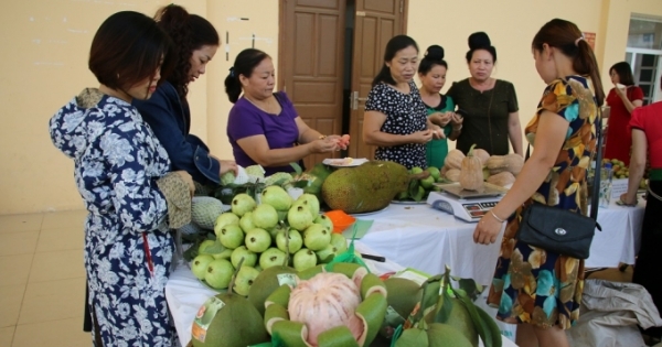 Mường La phát triển nông nghiệp theo hướng biền vững