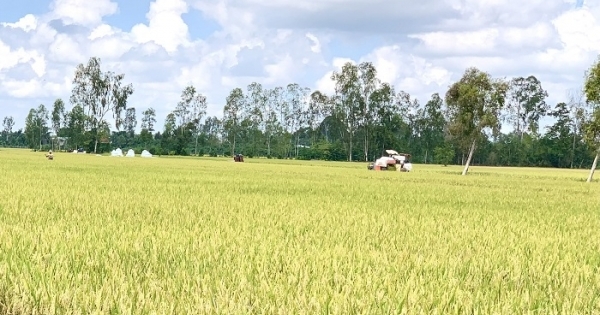 Tập đoàn Lộc Trời vi phạm nhiều lần “kê sai thuế”, bị xử phạt tiền tỷ