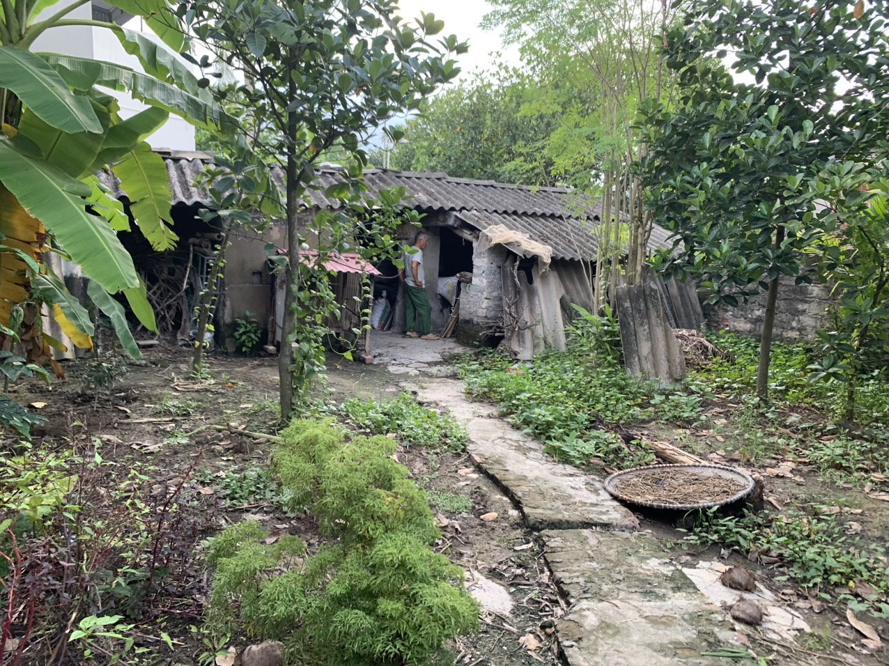 Hiện trạng mảnh đất mà gia đình ông Lân đã mua và sử dụng ổn định gần 30 năm.