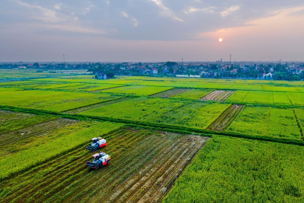 Hải Phòng khuyến khích doanh nghiệp đầu tư