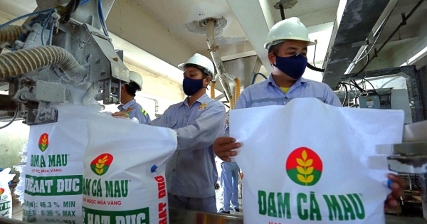 Đạm Cà Mau (DCM): Lãi ròng sau 9 tháng giảm hơn 80%