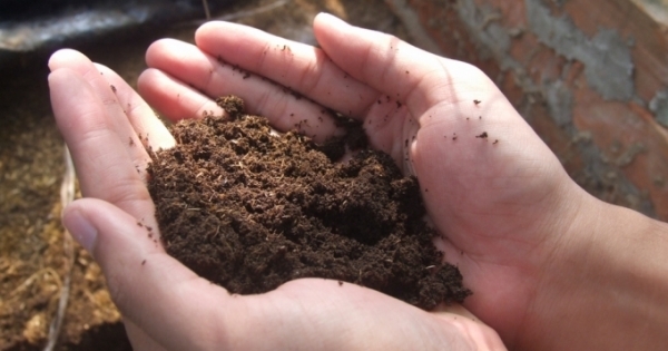 Audio: Bớt xén phân bón để làm phí ngoại giao