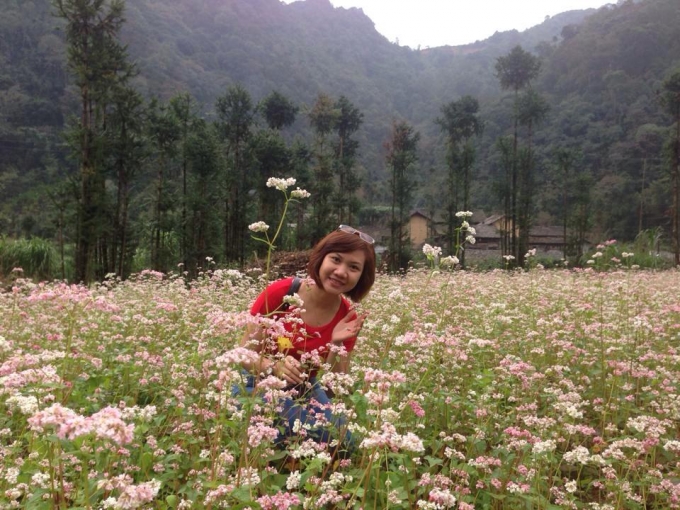 Du kh&aacute;ch chụp ảnh b&ecirc;n những vườn hoa tam gi&aacute;c mạch nở rộ