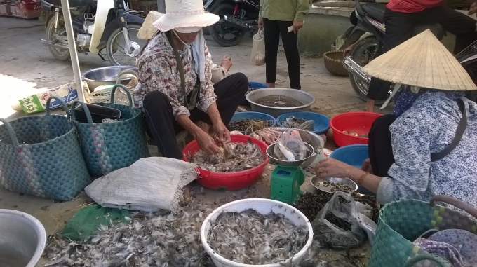 H&agrave;ng trăm ch&uacute; chim, c&ograve; được vặt l&ocirc;ng, l&agrave;m thịt tại chỗ kh&ocirc;ng thương tiếc. Ảnh Duy Ngợi