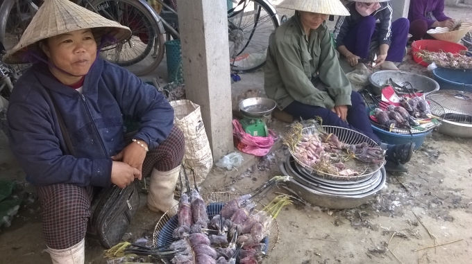 Chim, c&ograve; l&agrave; m&oacute;n kho&aacute;i khẩu của d&acirc;n s&agrave;nh nhậu. Ảnh Duy Ngợi