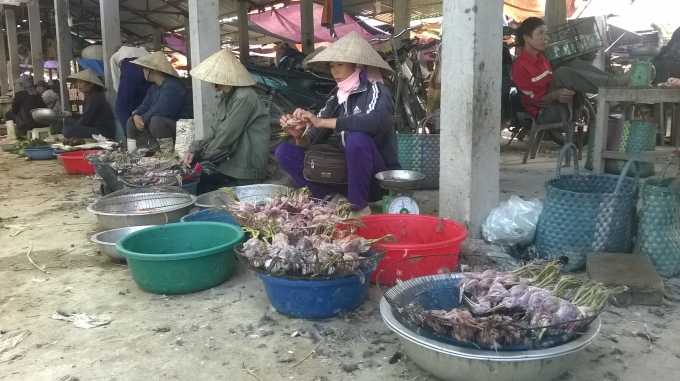 Chim c&ograve; b&agrave;y b&aacute;n tr&agrave;n lan. Ảnh Duy Ngợi