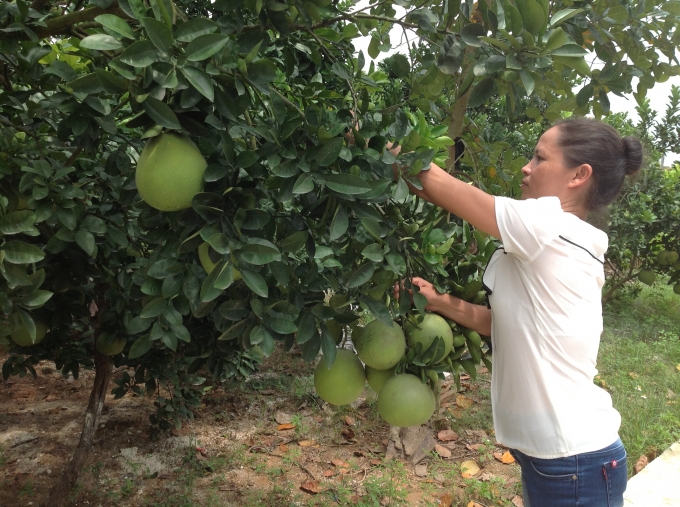 Bắc Giang tập trung ph&aacute;t triển kinh tế - x&atilde; hội vươn l&ecirc;n&nbsp;dẫn đầu khu vực trung du v&agrave; miền n&uacute;i ph&iacute;a Bắc tr&ecirc;n nhiều chỉ số.
