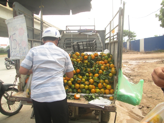 Người d&acirc;n đổ x&ocirc; đi mua hoa quả gi&aacute; rẻ