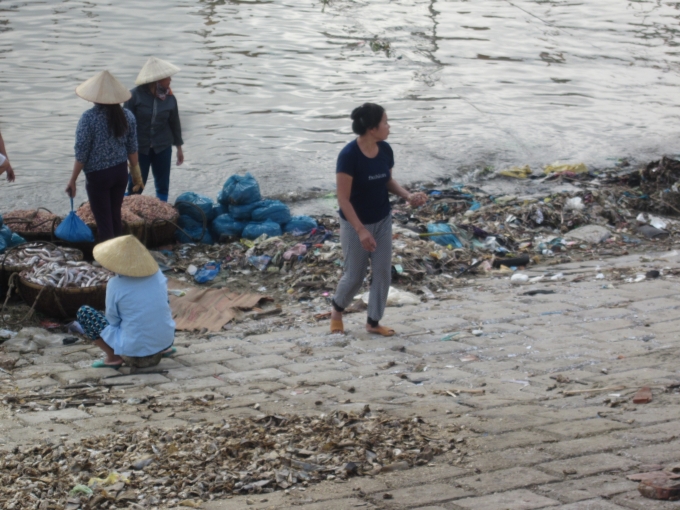 Dưới biển th&igrave; người d&acirc;n đ&aacute;nh bắt, tr&ecirc;n triền đ&ecirc; th&igrave; thải r&aacute;c v&agrave; l&agrave; nơi chế biến hải sản mỗi khi c&oacute; thuyền về;              T&ocirc;m, c&aacute;... được phơi tr&ecirc;n r&aacute;c                    Nơi vui chơi của trẻ em cũng ngay tr&ecirc;n b&atilde;i r&aacute;c. Tr&ecirc;n bờ l&agrave; hoạt động bu&ocirc;n b&aacute;n, tr&ograve; chuyện h&agrave;ng ng&agrave;y.                    c&aacute;c cống nước sinh hoạt h&agrave;ng ng&agrave;y được thải trực tiếp ra biển. Đen x&igrave; v&agrave; h&ocirc;i thối.