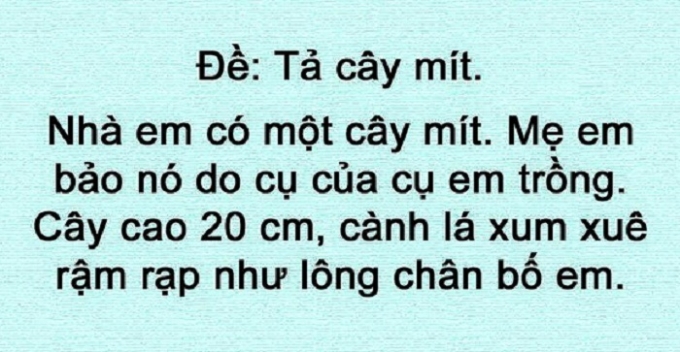 Tả c&acirc;y m&iacute;t.