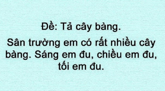 Tả c&acirc;y b&agrave;ng.