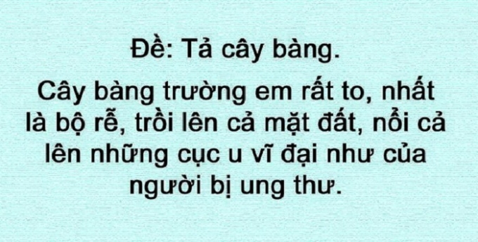 Tiếp tục tả c&acirc;y b&agrave;ng.