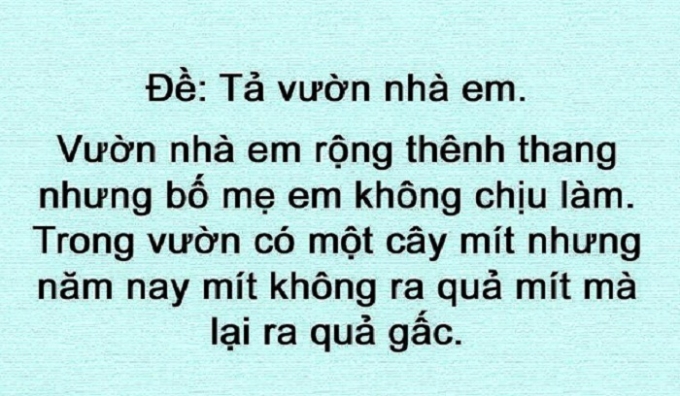 Tả vườn nh&agrave; em.