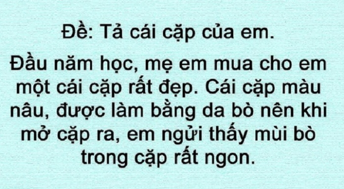 Tả c&aacute;i cặp của em.