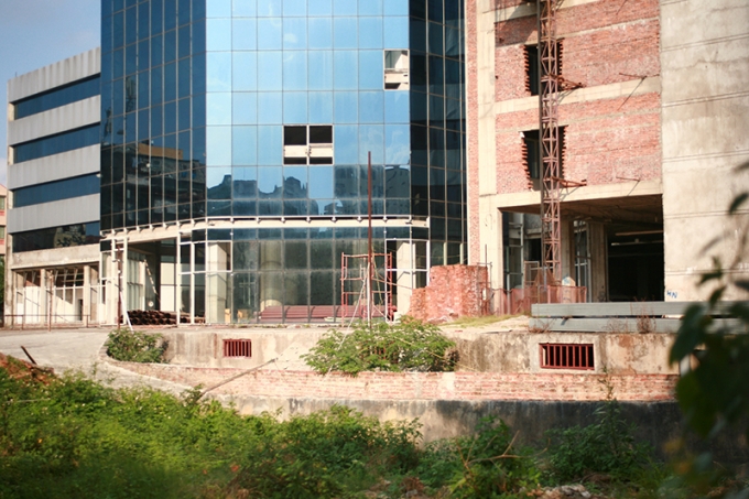 Cỏ dại um t&ugrave;m mọc khắp nơi