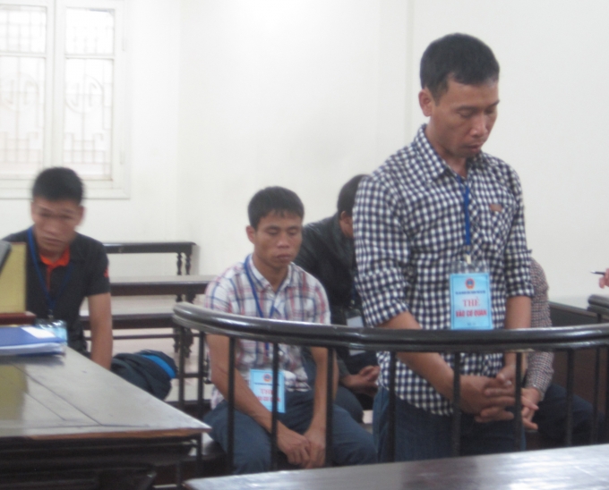 C&aacute;c bị c&aacute;o trước v&agrave;nh m&oacute;ng ngựa trong phi&ecirc;n t&ograve;a ng&agrave;y 23/11 (Ảnh: Duy Khương)