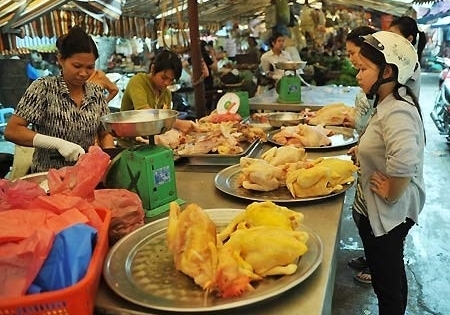 Cách phát hiện và phòng chống kẻ mang tật bệnh tên là "vàng ô"