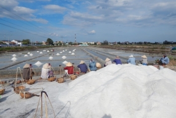 Rút kinh nghiệm trong việc tuyên truyền thu mua muối tạm trữ