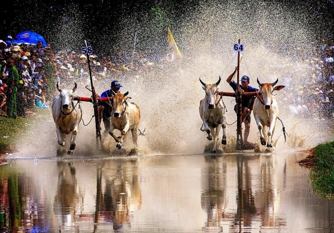 Sự đồng h&agrave;nh của Nước tăng lực Number 1 ng&agrave;y c&agrave;ng g&oacute;p phần đưa giải Đua b&ograve; Bảy N&uacute;i tiến xa hơn ra với người d&acirc;n cả nước v&agrave; bạn b&egrave; thế giới.