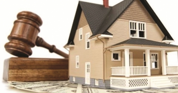 Kiểm tra việc giao nộp, tiếp cận, công khai chứng cứ và hòa giải