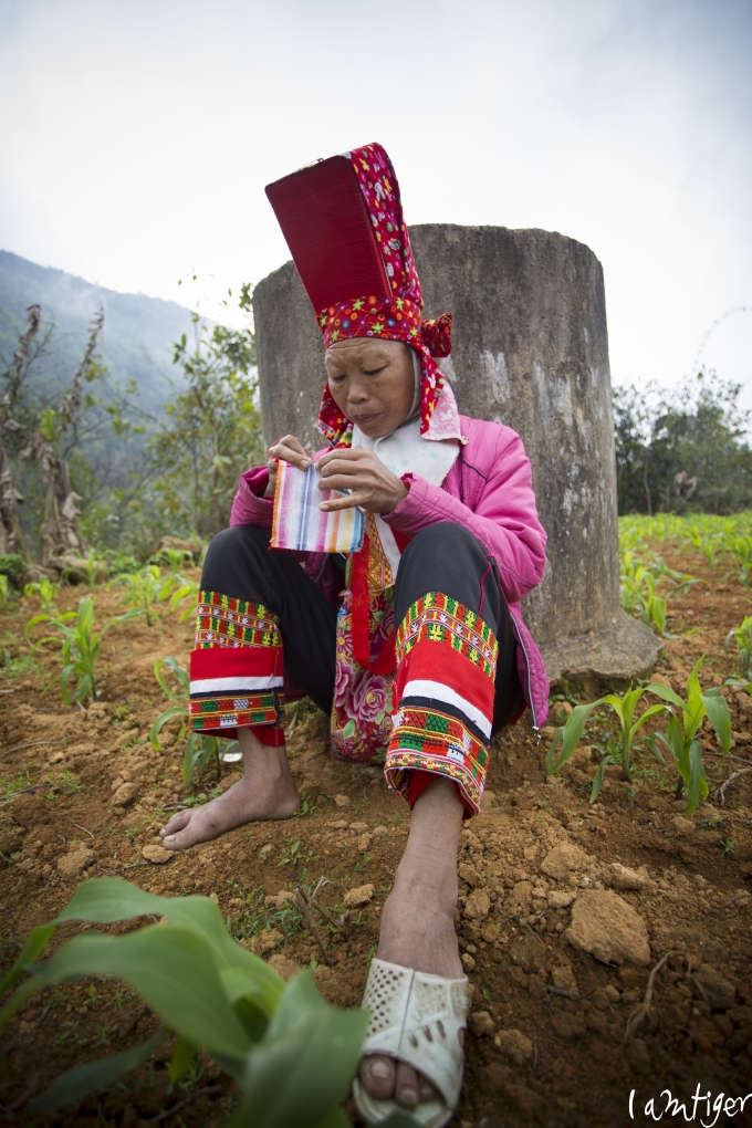 Ngỡ ng&agrave;ng vẻ đẹp hoang sơ và bình y&ecirc;n nơi v&ugrave;ng bi&ecirc;n Quảng Ninh