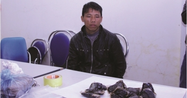 "Vác" cả bao tải ma túy đi bán