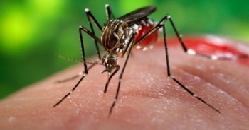 Phát hiện thêm 3 ca nhiễm virus Zika tại TP HCM