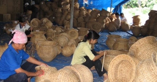 Phó Thủ tướng Vương Đình Huệ chỉ đạo sửa đổi cơ chế Quỹ hỗ trợ phát triển hợp tác xã