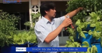 TP HCM: Độc đáo mô hình trồng rau trên rác