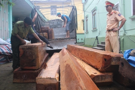 CSGT tỉnh Thừa Thiên - Huế kiểm tra xe tải, phát hiện 2,5 m3 gỗ không rõ nguồn gốc