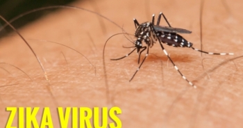 46 người nhiễm virus Zika tại TP HCM