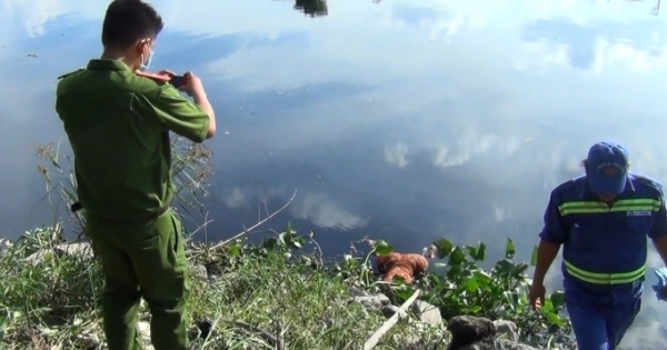 Phát hiện thi thể người phụ nữ nổi trên kênh Vàm Thuật