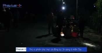 Thú vị phiên chợ "ma" cá đồng đêm tại miền Tây