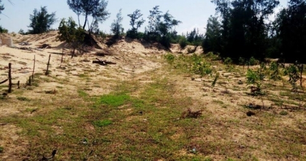 Phù Mỹ (Bình Định): Dân kêu khổ vì chính quyền làm sai?