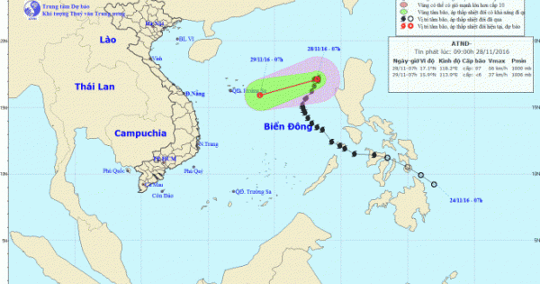 Cập nhật mới nhất về cơn bão số 9 - Tokage