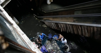 Lạ lùng "ao cá" hàng nghìn con trong trung tâm thương mại bỏ hoang