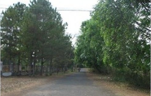 Chủ tịch xã liều lĩnh “nắn” đường vào nhà riêng