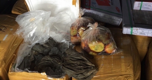 Thừa Thiên - Huế: Phát hiện 1,5 tấn nội tạng bẩn đang vận chuyển đi tiêu thụ