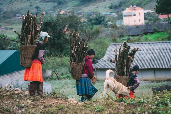 L&ecirc;n Mộc Ch&acirc;u, ngo&agrave;i cảnh đẹp, bạn c&ograve;n c&oacute; thể kh&aacute;m ph&aacute; cuộc sống của những người d&acirc;n tộc H'mong, Th&aacute;i...