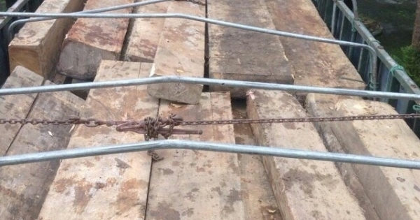 Thừa Thiên – Huế: Tạm giữ hơn 25m3 gỗ, có hóa đơn chứng từ nhưng không phù hợp