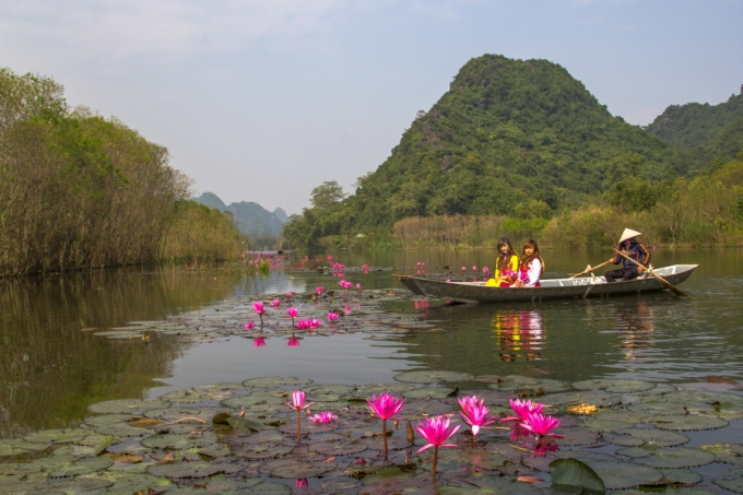 Đẹp m&ecirc; hồn d&ograve;ng suối Yến m&ugrave;a hoa S&uacute;ng.