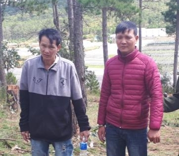 Lâm Đồng: Bắt giữ đối tượng phá rừng để lấy đất