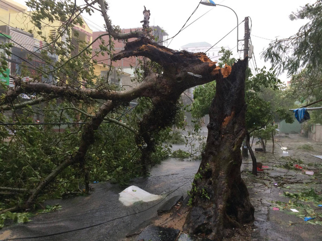 B&atilde;o số 12: Những h&igrave;nh ảnh thiệt hại đầu ti&ecirc;n tại Nha Trang, Ph&uacute; Y&ecirc;n