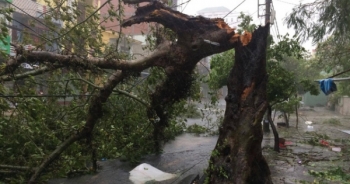 Bão số 12: Những hình ảnh thiệt hại đầu tiên tại Nha Trang, Phú Yên
