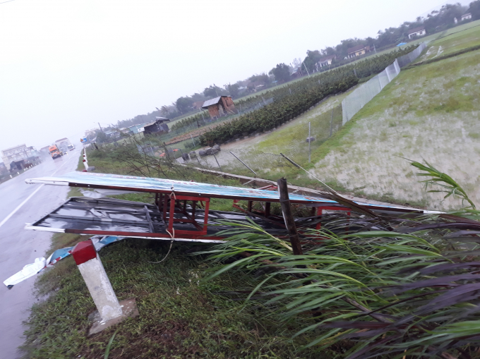 C&aacute;c bảng quảng c&aacute;o ven đưởng tỉnh B&igrave;nh Định g&atilde;y đổ