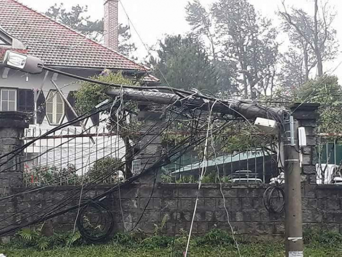 C&acirc;y cột điện bị gi&oacute; l&agrave;m g&atilde;y đ&ocirc;i.