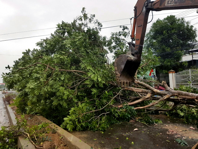 C&aacute;c c&acirc;y xanh tr&ecirc;n địa b&agrave;n bị bật gốc, chắn ngang đường.