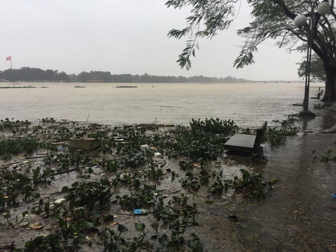 Nước ở s&ocirc;ng Hương đoạn c&ocirc;ng vi&ecirc;n giữa cầu Ph&uacute; Xu&acirc;n v&agrave; Gi&atilde; Vi&ecirc;n nước đ&atilde; tr&agrave;n l&ecirc;n bờ.